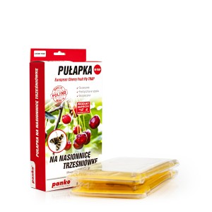 pułapka_na_nasionnicę_trześniówkę2 kopia.jpg